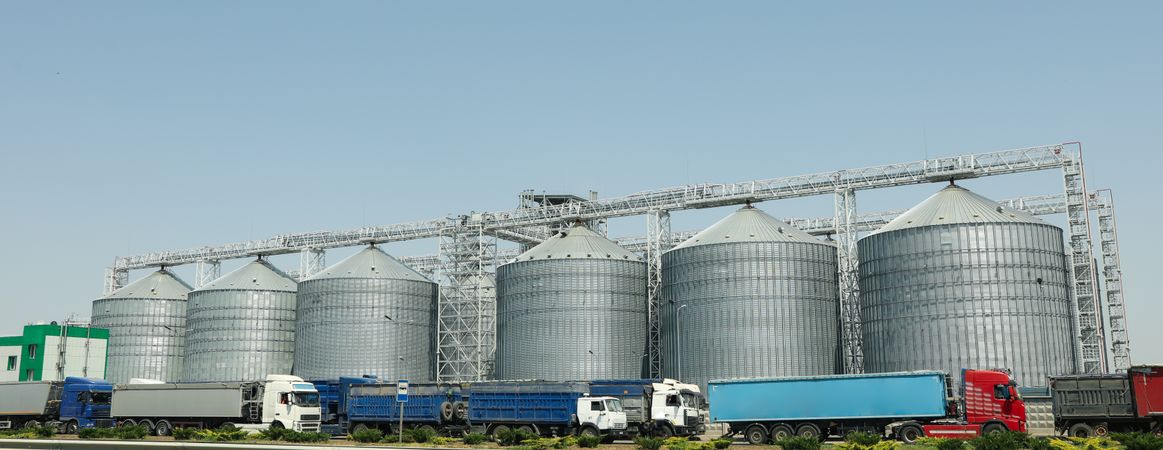 Grain silos. Grain terminal. Agriculture business. Summer harvest
