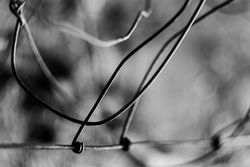 Tense barbed wire