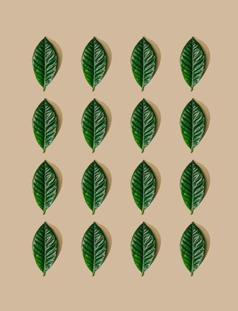 Pattern of green leaves and pastel sand background