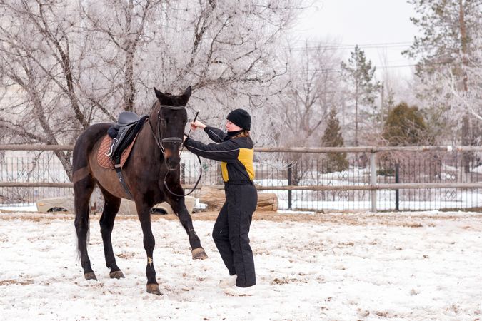 Person leading a lively horse in snow. Dressage.