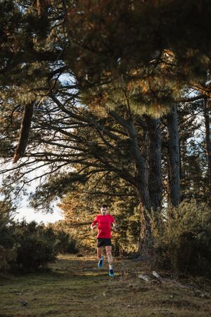 Sportsman running on countryside