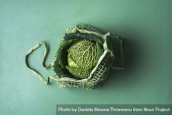 Savoy cabbage in eco-friendly fabric bag 4ApxN5