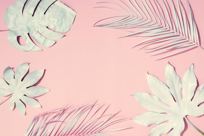 Tropical painted leaves on pastel pink background