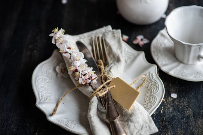 Spring floral concept with apricot blossom on delicate cream plate
