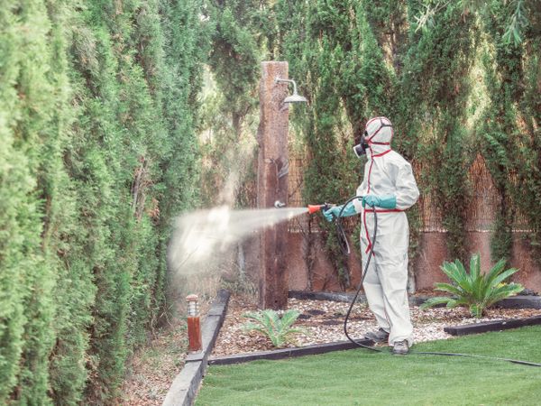 Fumigator in uniform spraying substance on garden