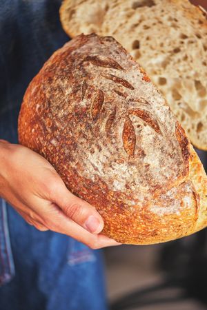 Hands holding bread broken in half