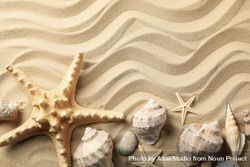 Seashells and starfishes on wavy sea sand background, space for text 5ngDaQ