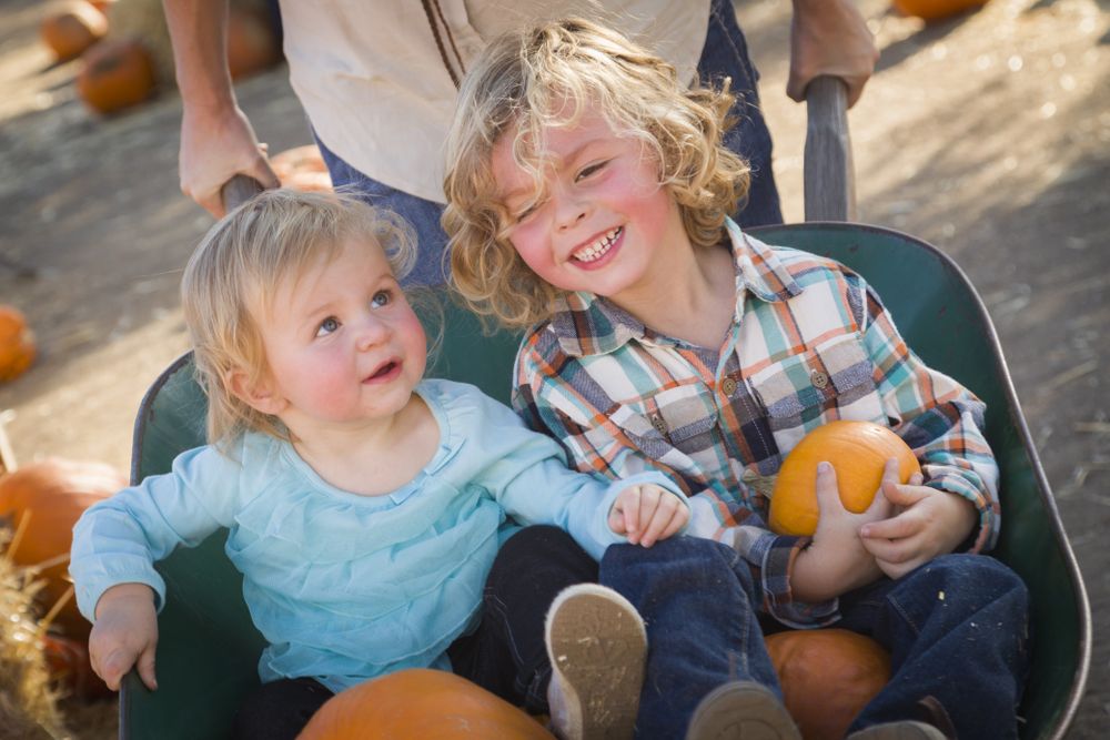 Young Family Enjoys a Day at the Pumpkin Patch