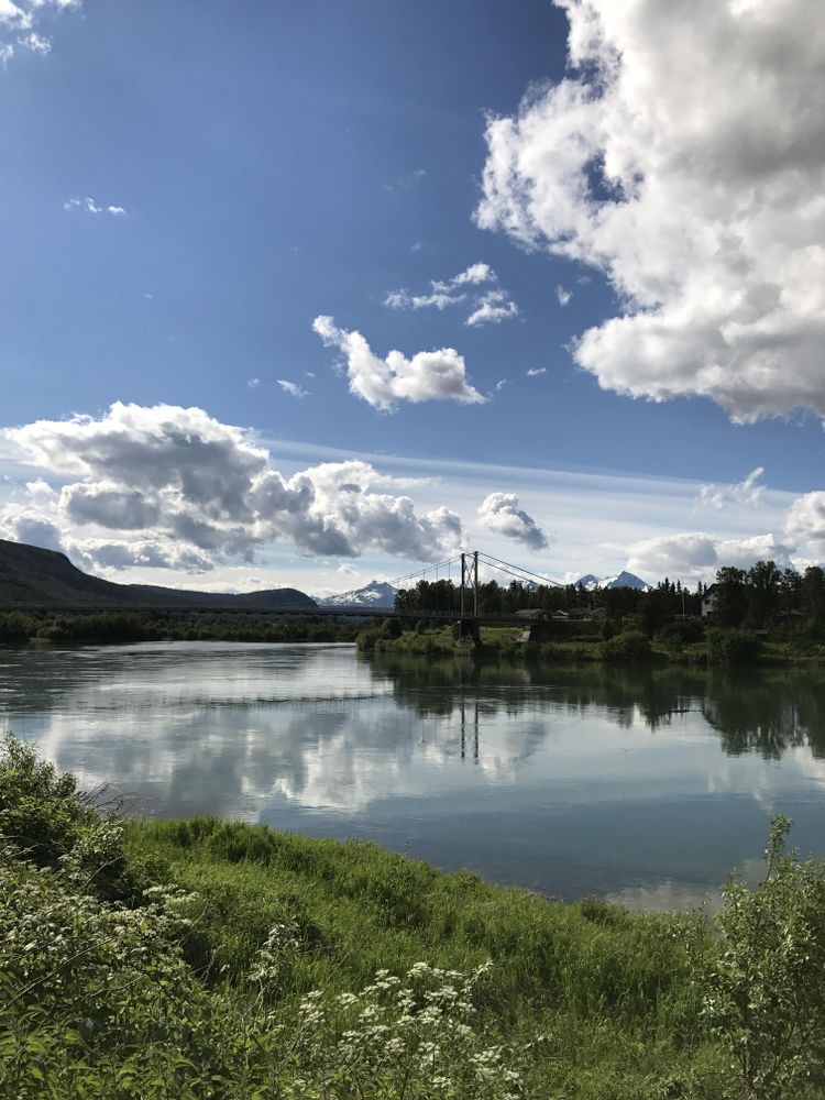 Green trees near lake under blue sky in Moen, Troms, Norway