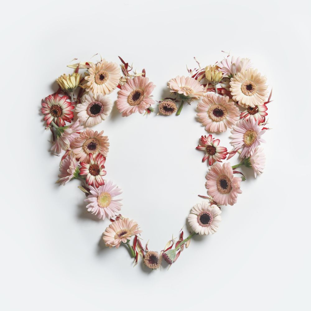 Heart frame made with various garden flowers