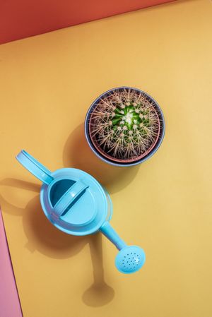 Watering can with cactus pot