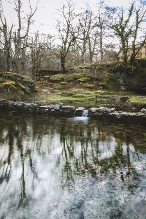 Stones between water in park