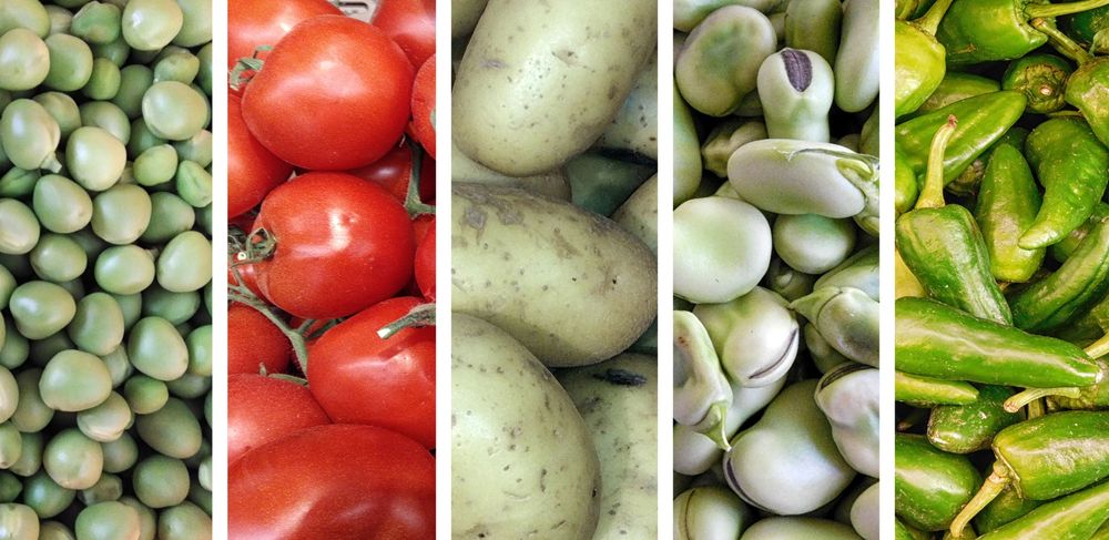 Colorful Vegetables Collage On Background