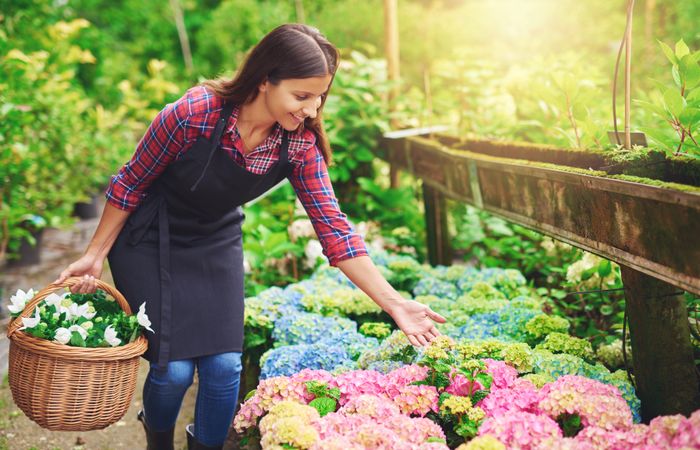 Smiling woman looking at colorful flowers in a greenhouse while holding a basket of flowers