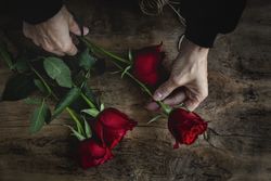 Unrecognizable woman making a bouquet of red roses