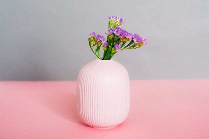 Violet sea lavender flowers in a pink and grey background