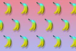 Yellow bananas with dripping blue paint