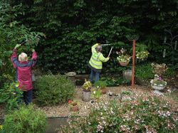 Back of two people trimming a large bush in garden