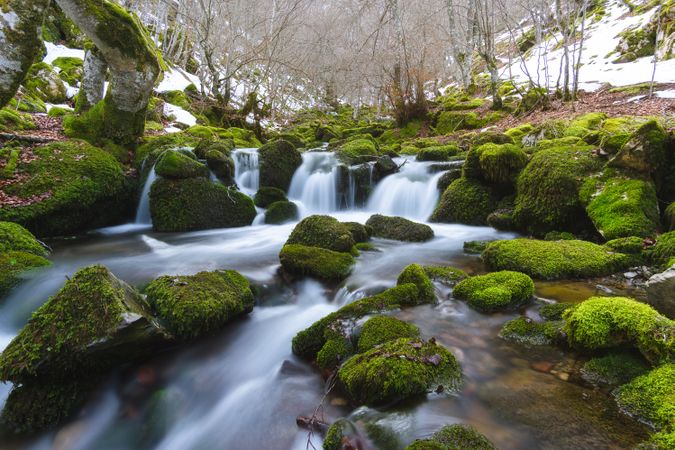 River running between stones in moss in forest