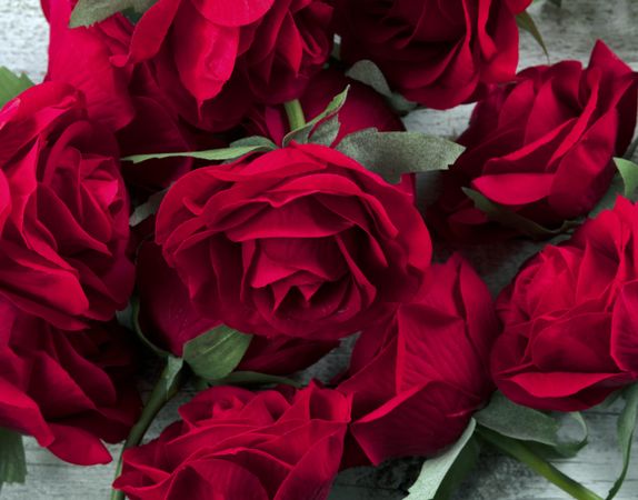 Filled frame of artificial dark red roses for love or romance occassions