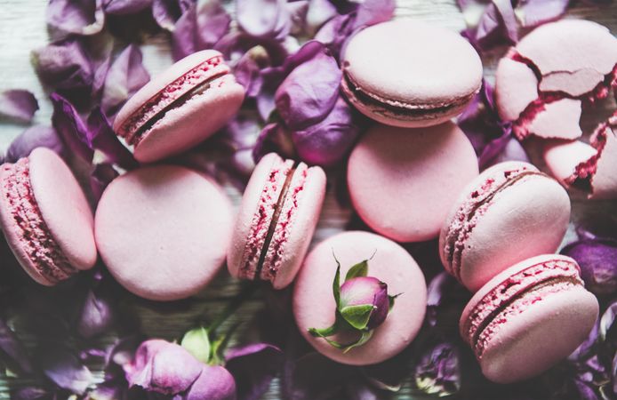 Sweet pink macaron cookies on bed of purple petals