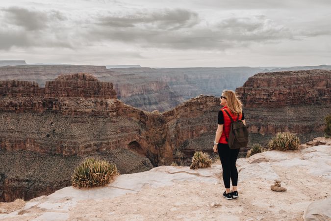 Calm female looking at pictorial landscape