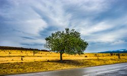 Autumnal landscape of Kakheti region