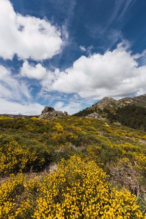 Breathtaking white clouds above hills with greenery
