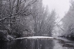 River streaming between snow forest