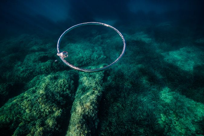 Toroidal bubble near coral reefs under ocean water