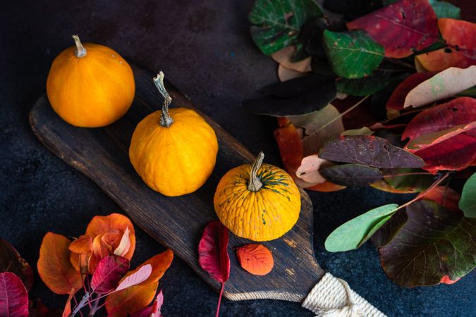 Board of decorative autumnal gourds