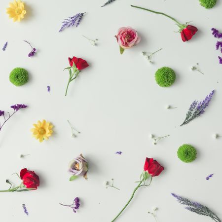 Pattern made of various flowers and leaves