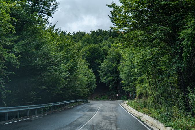 Road in the Caucasus mountains of Georgia