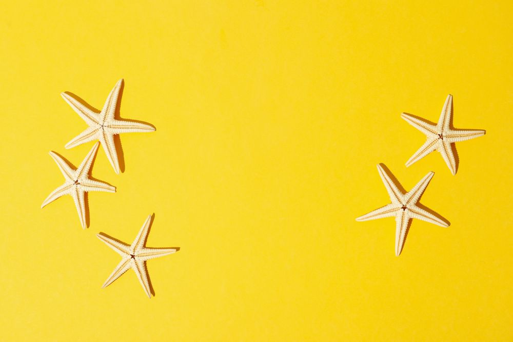 Starfishes on yellow background, space for text