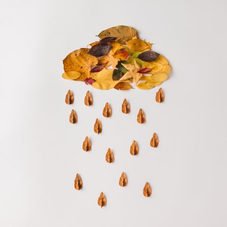 Autumn leaves in shape of cloud with rain on light background