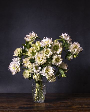 Glass vase of hellebores on wooden table