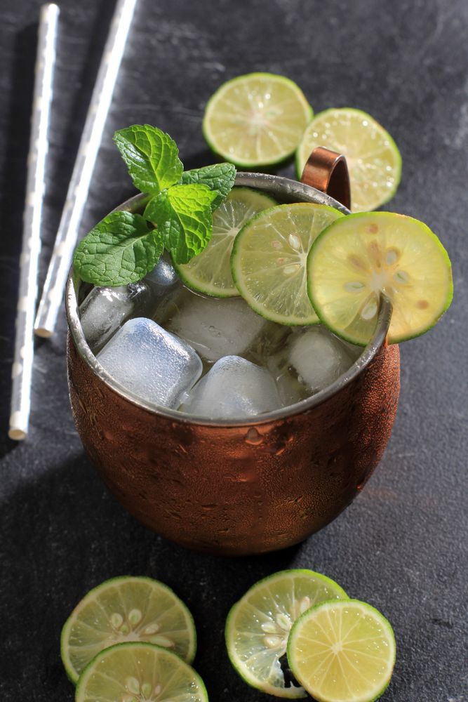 Cold Moscow Mule Cocktail