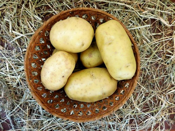 potatoes