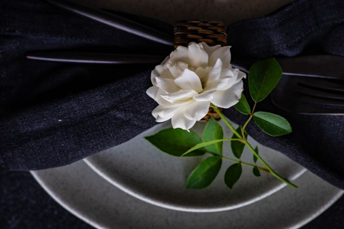 Minimalistic table setting with rose and napkin