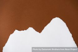 Earthy brown and light torn paper background bElO64