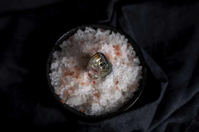 Head of sardine in plate with salt in darkness