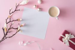 Flowers on brown branch on pastel pink background with paper card