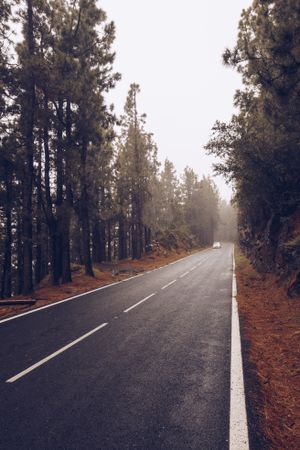 Car on road in overcast day