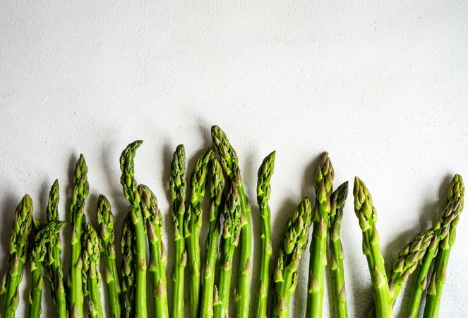 Line of fresh asparagus