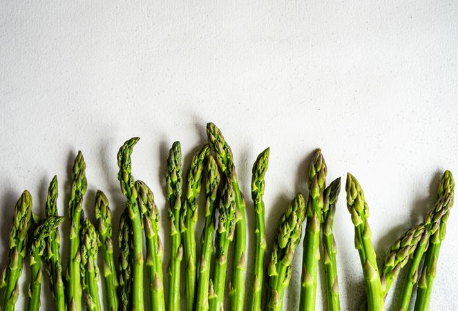 Line of fresh asparagus