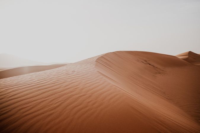 Sandy dune in arid desert
