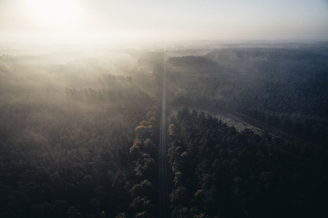 Aerial view of highway surrounded by forest