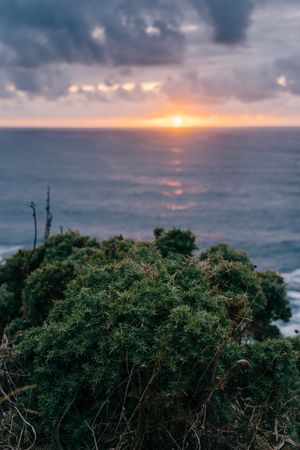 Grassy shore near stormy sea in evening