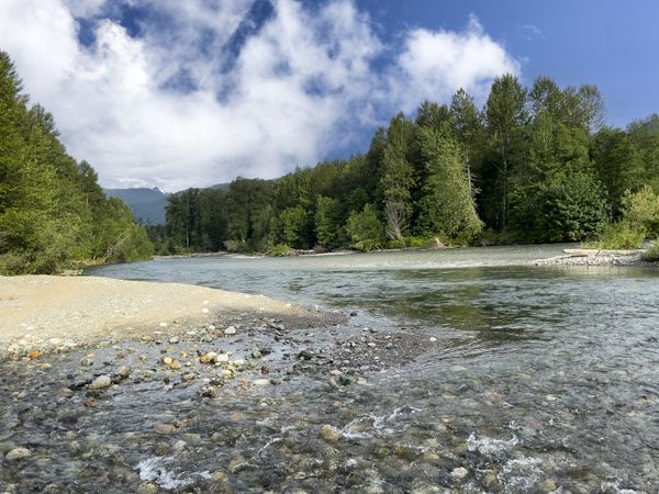 Clark creek flowing into Cascade River in Marblemount Washington state early summer
