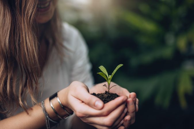 Cropped image of woman holding seedling